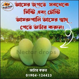 ২০ কেজি আম (হোম ডেলিভারি নিলে ১০০ টাকা বেশি)