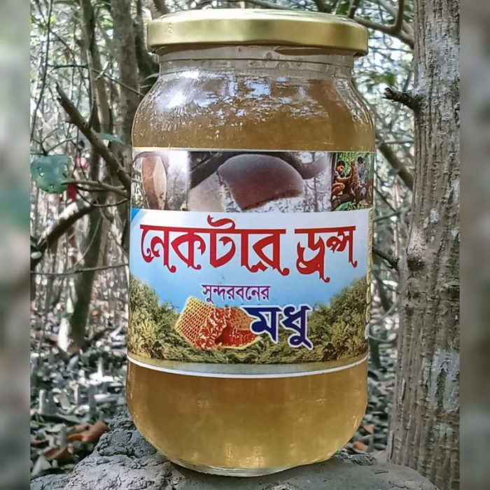 খলিসা-3.jpg